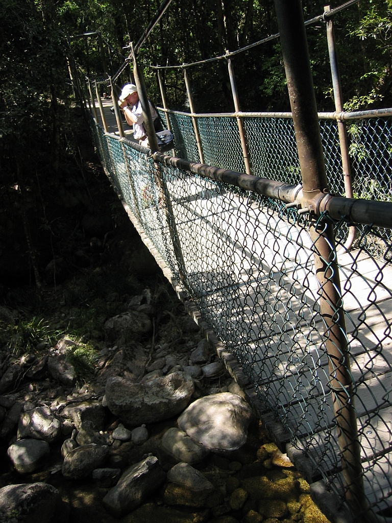 239 Mossman Gorge.jpg